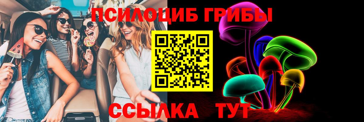 Псилоцибиновые грибы Psilocybine cubensis Балаково