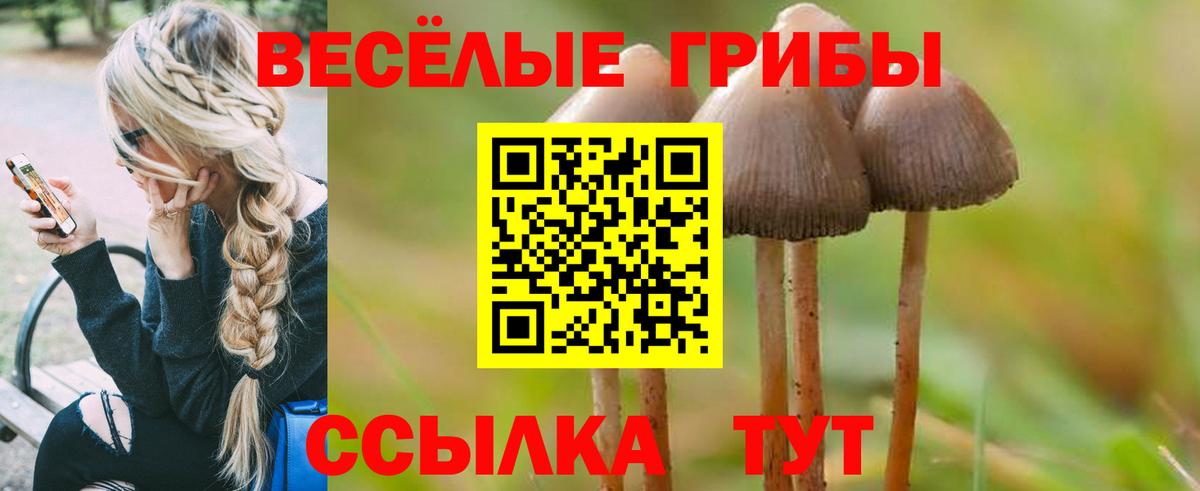 Псилоцибиновые грибы Psilocybe  Вход с VPN  Балаково  Псилоцибиновые грибы мицелий 